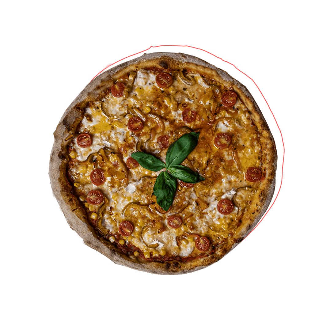 Vegetariana VEGAN